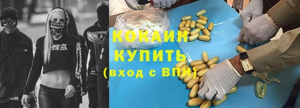 спиды Богданович